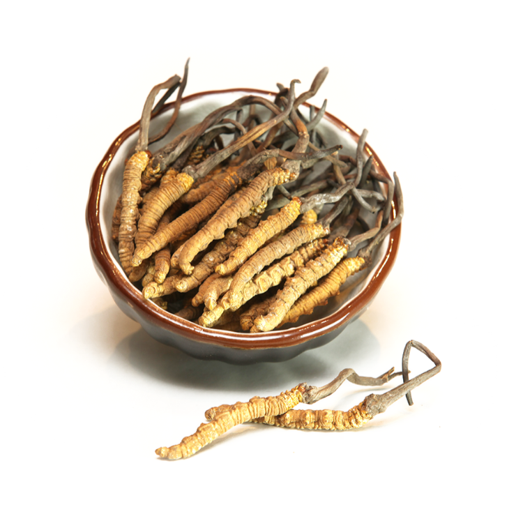 【180/220支】西藏贡品皇上皇虫草