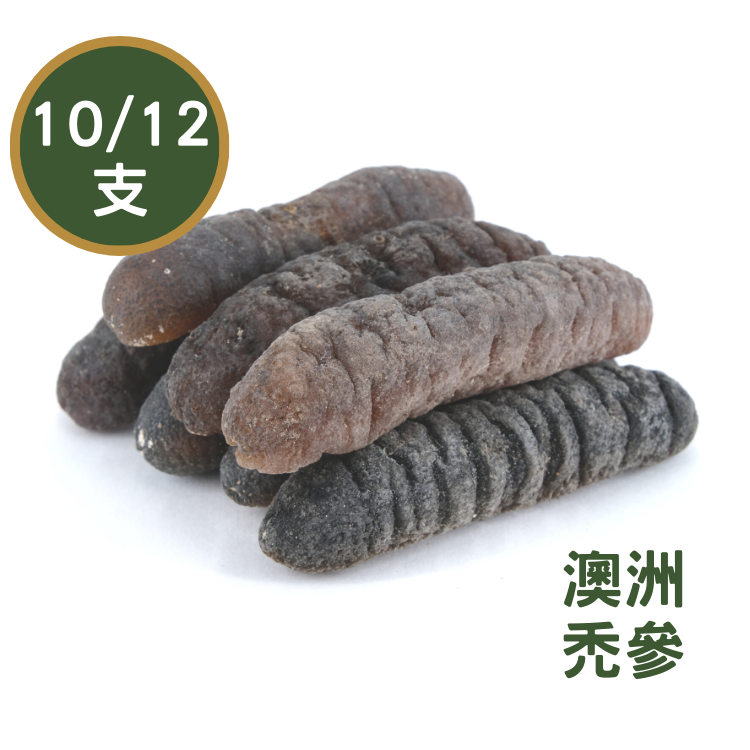 【10/20支】澳洲秃参